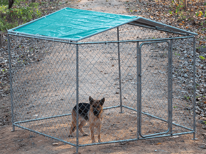 10x10ft Outdoor Kennel